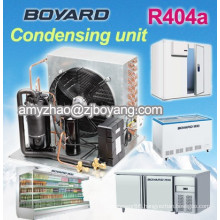 Dual Glass Island freezer with boyard condensing unit